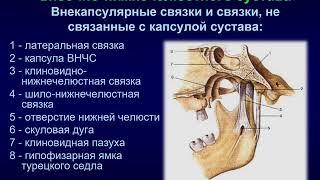 Функциональные заболевания ВНЧС у детей