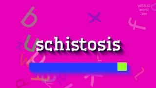 SCHISTOSIS - HOW TO SAY SCHISTOSIS? #schistosis