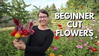 Cut Flower Garden for Beginners - From Seed to Bouquet