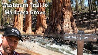 Yosemite's Mariposa Grove Access When Shuttles Aren't Running Via Washburn Trail