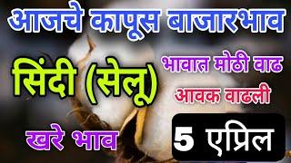 5 एप्रिल/आजचे सिंदी सेलू कापसाचे भाव/ भावात वाढ/ sindi cotton market /kapas #cotton