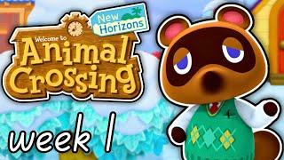 Welcome to Buckwood! – A Year In Animal Crossing: New Horizons – Week 1