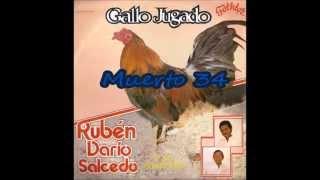 Ruben Dario Salcedo (Gallo Jugado)
