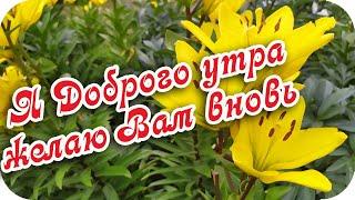 С Добрым утром! ️Хочу пожелать всем добра и мира на земле ️Музыкальная видеооткрытка️