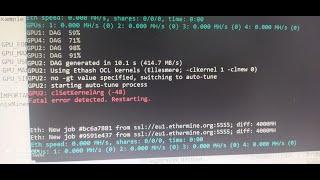 How to fix ClSetKernelArg  (-48) Fatal error detected. Restaring. on claymore dual miner