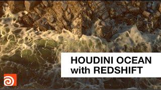 At The Source / Houdini Ocean with Redshift
