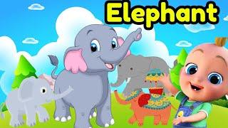 Elephant Song For Kids || Kids Song || Cocomelon Nursery Rhyme