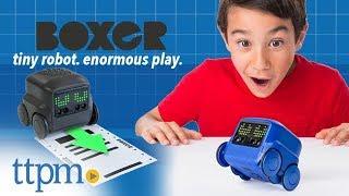 Boxer - Interactive A.I. Robot Toy from Spin Master