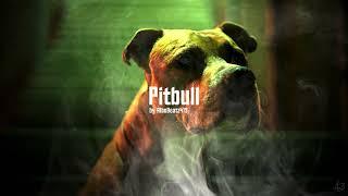 "Pitbull" Hiphop Instrumental Beat prod. by Albobeatz419