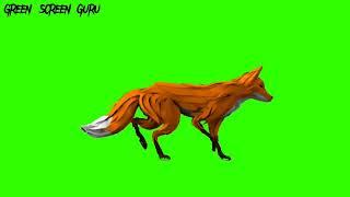 Green Screen Animation - 3D Fox Running (COPYRIGHT FREE)#greenscreen #chromakey