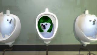 Skibidi Doggo Toilet 2