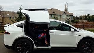 Tesla Model X Wing Door