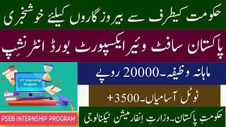 Pakistan Software Export Board PSEB Internship 2021