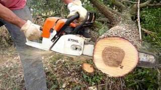 stihl ms 440