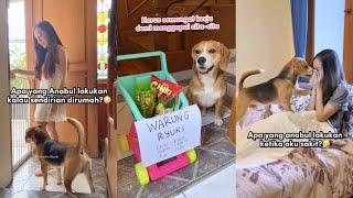 ANJING PANDAI AKTING!! KOMPILASI VIDEO YUKO & RYUKI 2023 Part 1