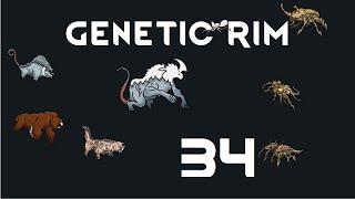 Let's Play Genetic Rim - 34 - Rimworld Royalty 1.1 Gameplay