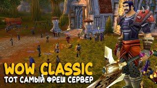 World of Warcraft Classic - Последний стрим 2024