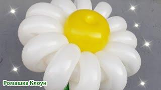 РОМАШКА ИЗ ДЛИННЫХ ШАРИКОВ ШДМ How to Make a Balloon Daisy como hacer flores con globos