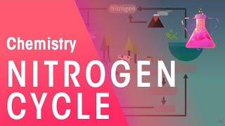 The Nitrogen Cycle | Environmental Chemistry | Chemistry | FuseSchool