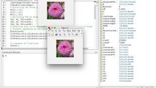 Image compression using SVD(colour image) using MATLAB