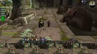 Dire Maul West - Multibox 5 hunters wow classic