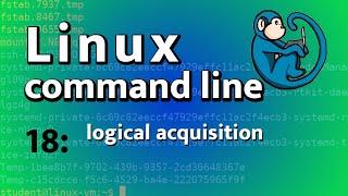 LCL 18 - logical acquisition with rsync, tar, 7z - Linux Command Line tutorial for forensics