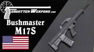 ブッシュマスター M17S - アメリカの商用ブルパップ