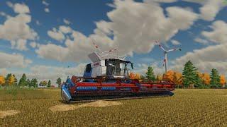 FS22 LENTIAS AND PEAS HARVESTING WITH CLAAS HARVESTER NORTH FRISAN MARCH FARM