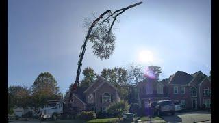 Baton Rouge Louisiana Hurricane Ida Relief Update from 770 Arborist Emergency Tree & Crane Service