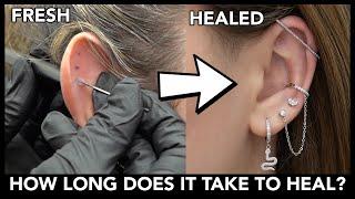 Signs YOU Need To Know That Your Piercing Is Healed!? (Exact Time)