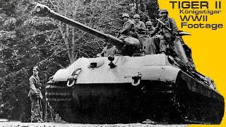 Tiger II "Königstiger" WW2 Footage.