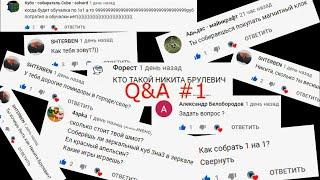 Q&A #1. Отвечаю на Ваши вопросы. Кто такой Никита Брулевич? Задать вопрос? Дорогие помидоры в селе?