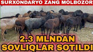 SOVLIQ QO'YLAR QO'ZI QO'CHQOR ECHKI ULOQ SARKA NARXLARI SURXONDARYO MUZRABOT ZANG MOLBOZORI 31.08.24