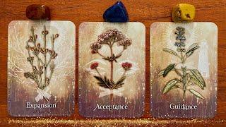    WHAT IS COMING IN FOR YOU?   Pick A Card Tarot Reading | TIMELESS