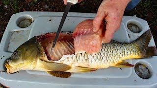 Catch and Cook Carp - How to cook carp -  carp fishing tips & carp recipe.