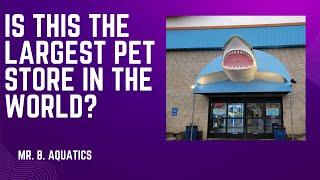 Fish store tour of the largest pet store in the world