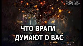 Что враги думают  о вас  гадание  таро онлайн