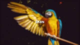 UrbanKiz - BKBN (Audio Official)