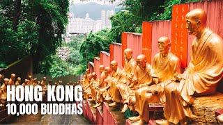Sha Tin Hong Kong to Ten Thousand Buddhas Monastery Hong Kong Travel Guide (2019) / 沙田到萬佛寺 (2019)