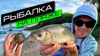 ФИДЕРНАЯ ЛОВЛЯ НА РЕКЕ / РЫБАЛКА НА ОКЕ / FROS FISHING