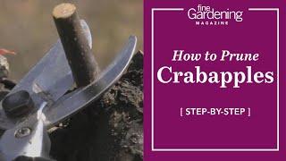 How to Prune Crabapples