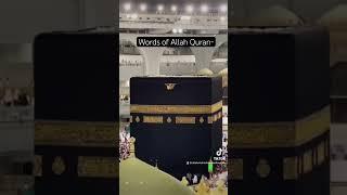#Quran #wordsofallah #islamicvideo #viralfyp #viralfypシ #trendingislamic #قرآن