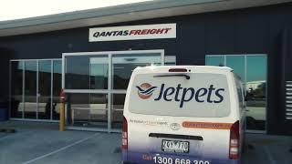 Behind The Scenes At The Airport | Jetpets AU