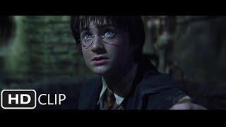 Harry Destroys Tom Riddle's Diary | Harry Potter and the Chamber of Secrets