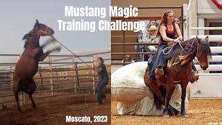 Mustang Magic 2023  (100 Day Training Challenge)