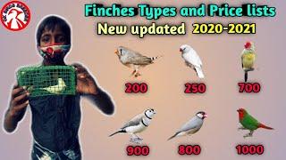 Finches Types And Price In India | Finches varieties