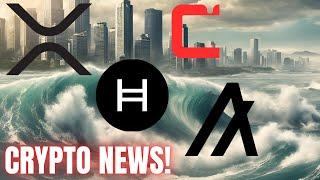 Ripple XRP HBAR CSPR ALGO    CRYPTO NEWS