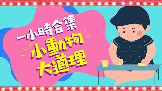 一小時合集｜小動物大道理｜粵語兒童故事｜有聲繪本｜廣東話睡前故事｜Cantonese Bedtime Stories Read Aloud For Kids