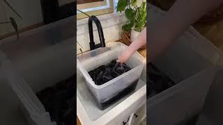 Dyeing Faded Clothes Back to Black #diy #howto #black