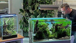 Swiss Aqua Shop Aquascape Store